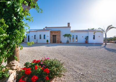 Entrada a una villa con un camino de grava que pasa junto a un gran olivo de tronco nudoso y palmeras, en un día soleado.