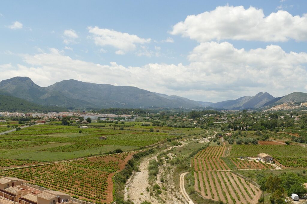 Paisaje panorámico del Valle de Llíber con viñedos y montañas, ideal para entender el entorno de qué ver en Llíber